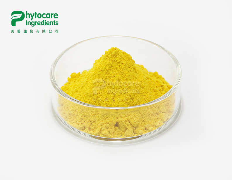 Pumpkin Fruit Powder